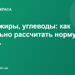 Белки, жиры, углеводы: как правильно рассчитать норму БЖУ на день