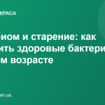 Микробиом и старение: как сохранить здоровые бактерии в пожилом возрасте