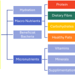 legumes beans tofu protein