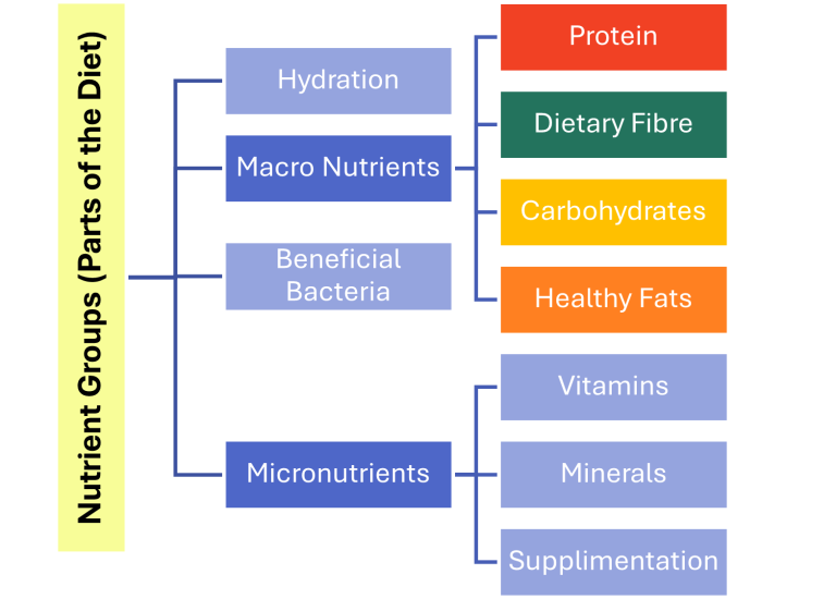 legumes beans tofu protein