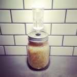 fermented food sauerkraut