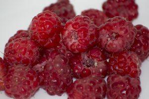 berries antioxidants food