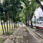 morning walk healthy