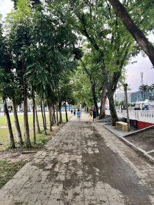 morning walk healthy