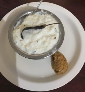 probiotics yogurt gut